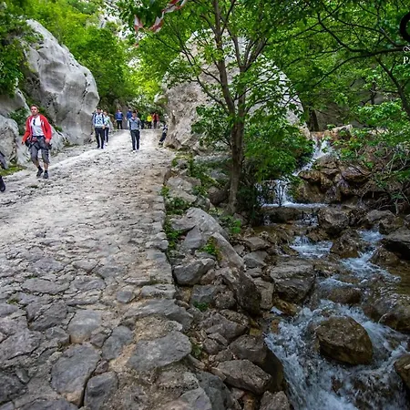 Gostinjska kuća Iva-family 250 M From Pebble